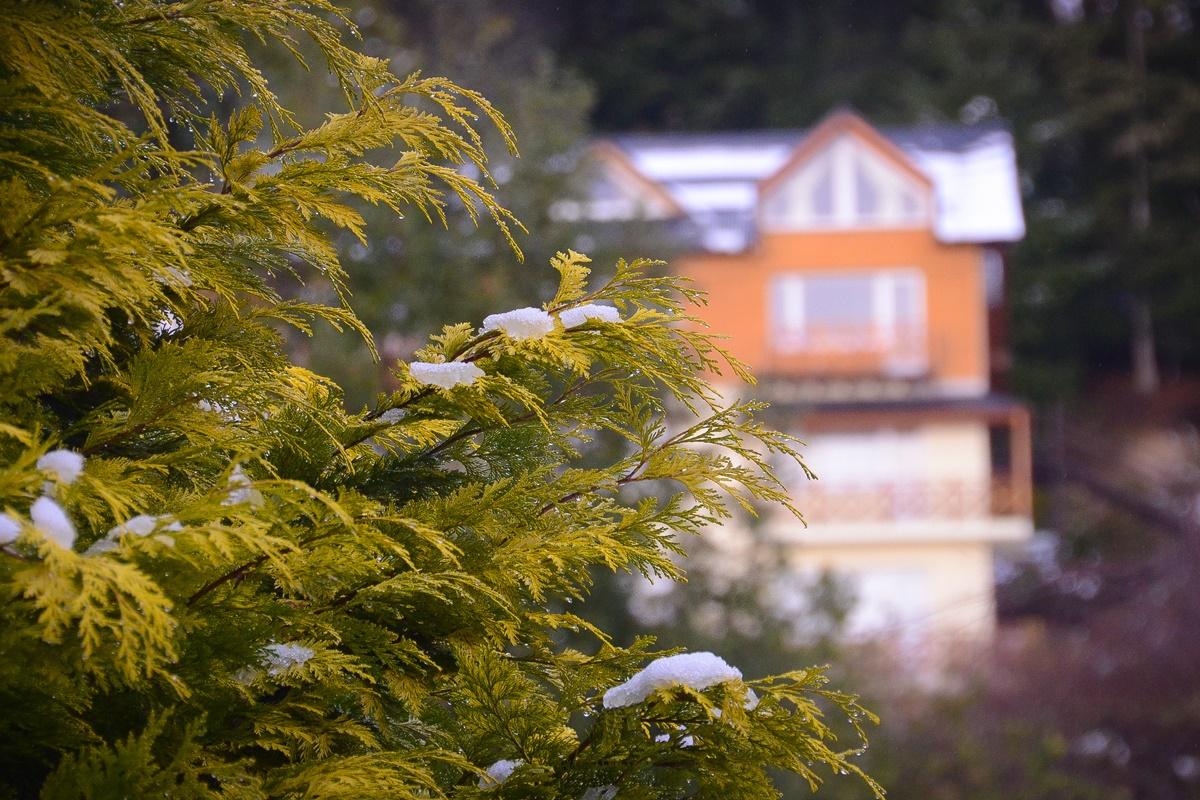 Huinid Bustillo Cabanas San Carlos de Bariloche Exteriör bild